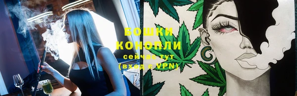 мяу мяу мука Гатчина