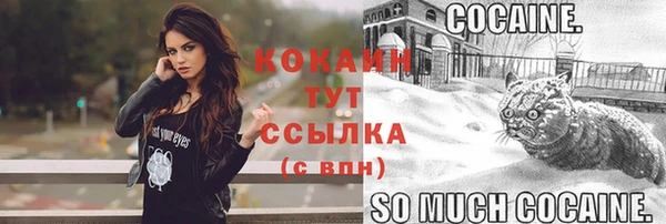 дмт Елизово