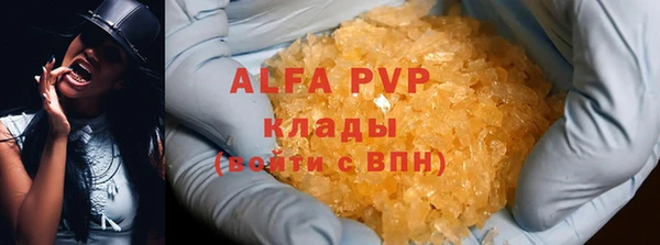 прущие грибы Дмитриев