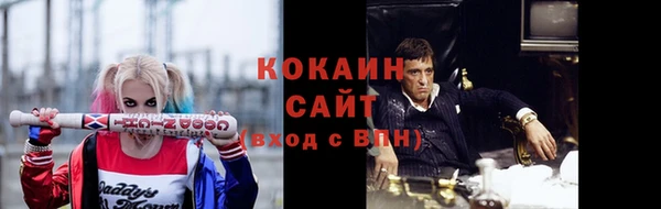 мяу мяу мука Гатчина