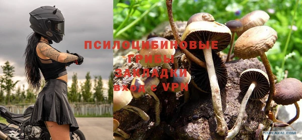 дмт Елизово