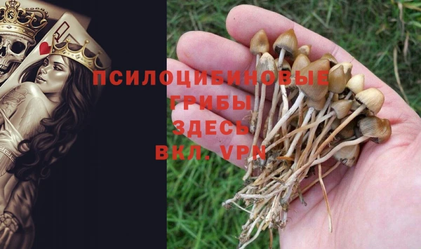 MESCALINE Ельня