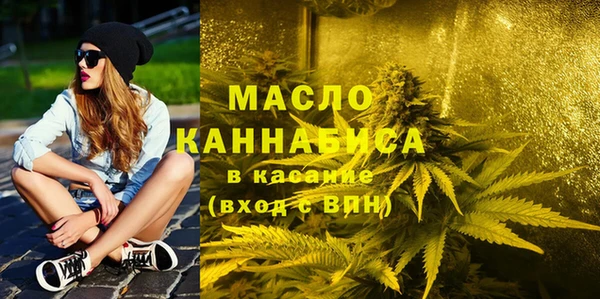 дмт Елизово