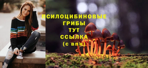 твердый Елабуга